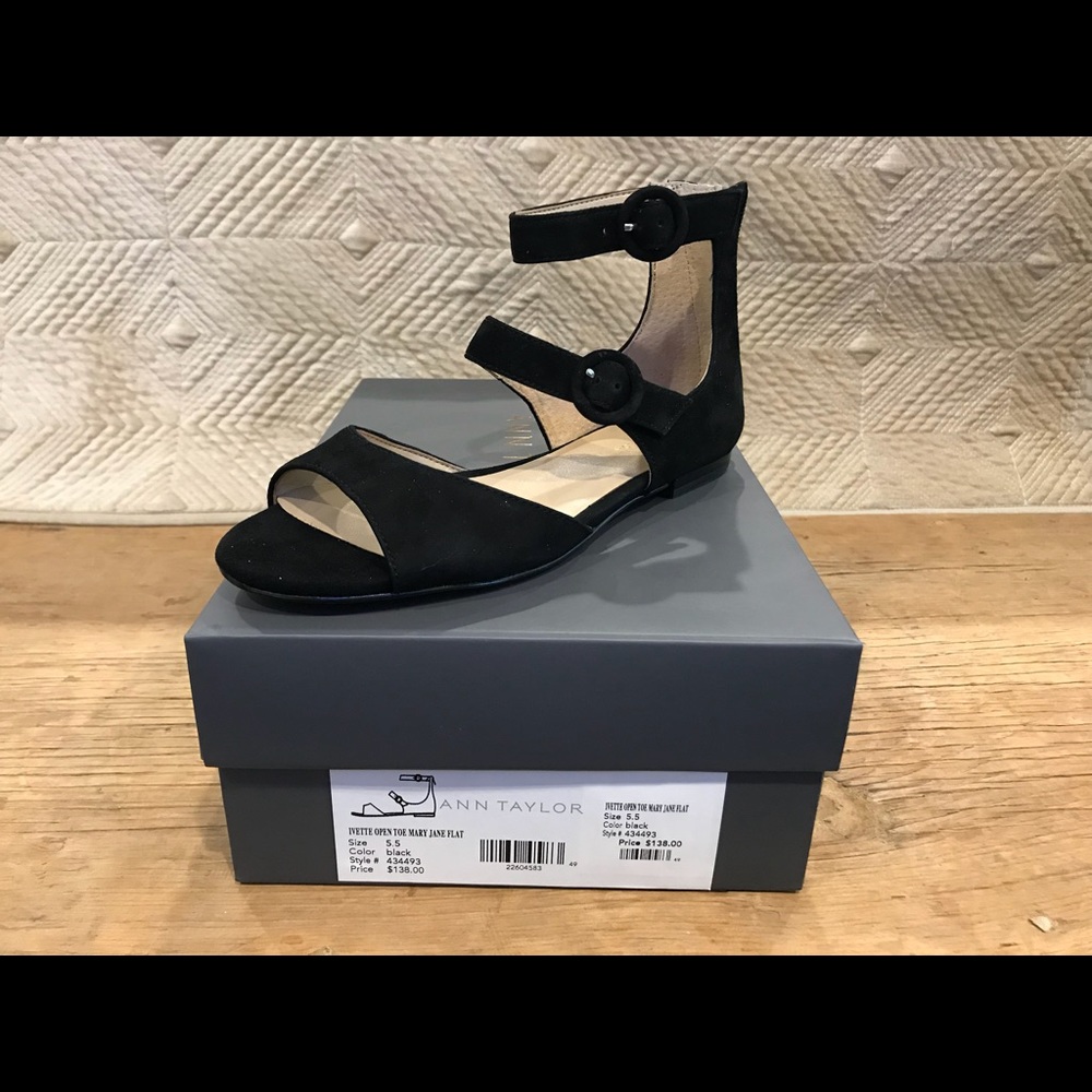 Ann Taylor Ivette Mary Jane Flat